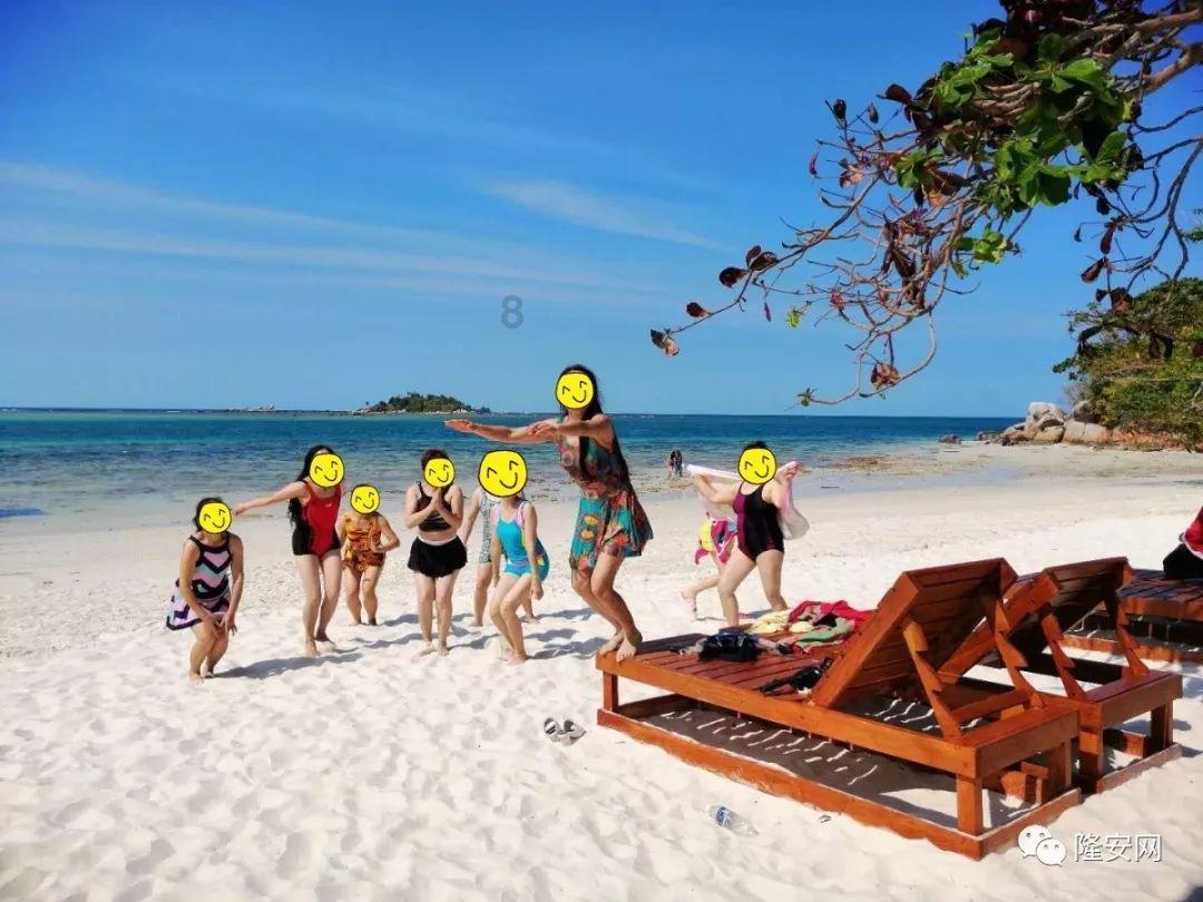 逃出白海豹洞